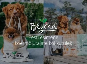 Esimene koer-suunamudijate kokkutulek Eestis
